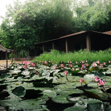 Hampi'S Whiskers Resort ภายนอก รูปภาพ