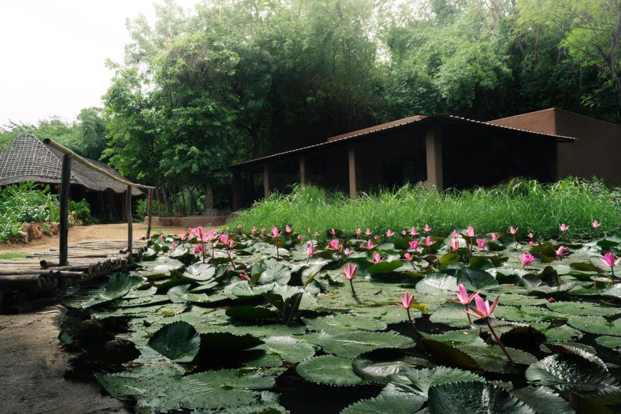 Hampi'S Whiskers Resort ภายนอก รูปภาพ